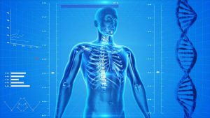 иллюстрация строения костей человека на синем фоне