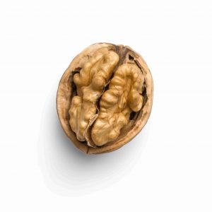 половинка грецкого ореха, похожая на мозг человека на белом фоне