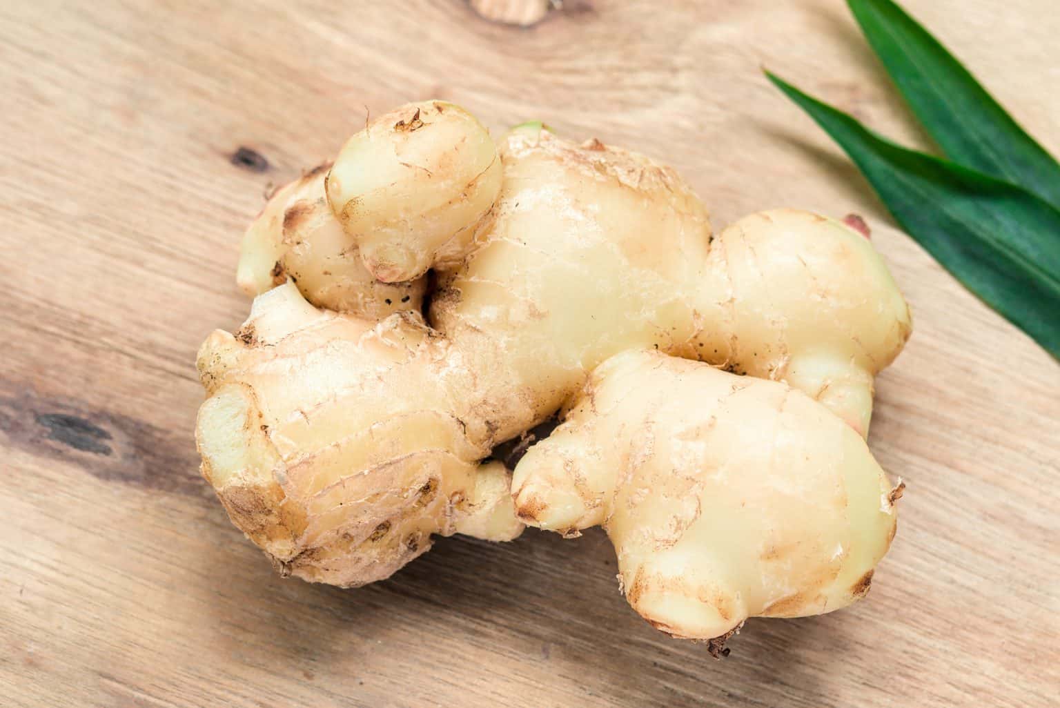 Имбирь-польза и вред для здоровья - Goodfoodinfo.net