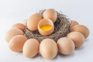 куриные коричневые яйца вокруг гнезда, в центре которого яйцо с желтком в скорлупе
