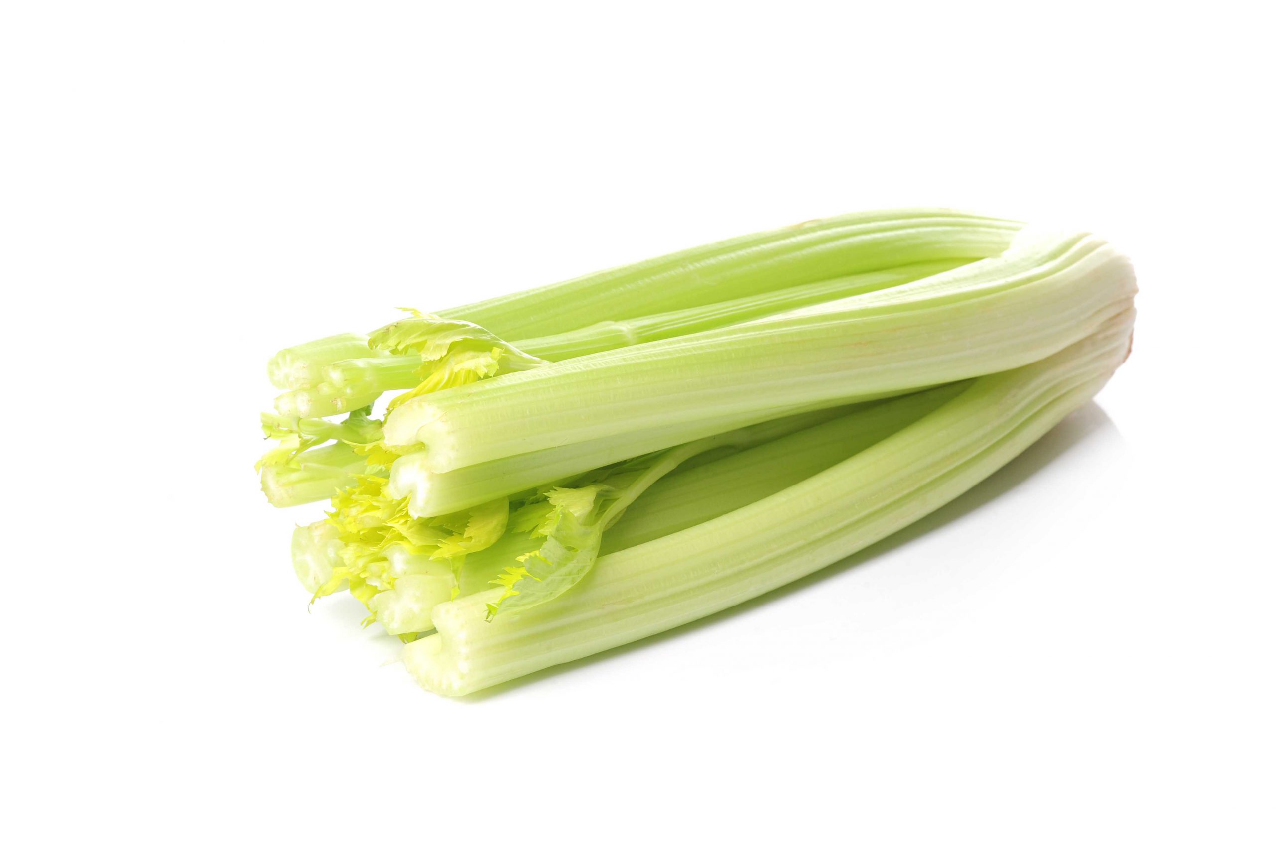 Сельдерей-польза и вред для здоровья- Goodfoodinfo.net